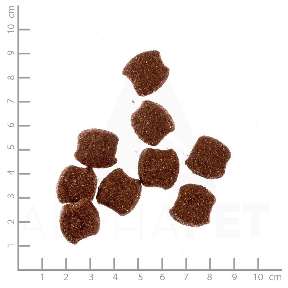 Wildes Land Halbfeuchtes Trockenfutter für Hunde Nr. 5 Rind 5 kg | Mit Reis und Wildkräutern, Glutenfrei, Extra viel Fleisch, Für alle Hunderassen, Beste Akzeptanz und Verträglichkeit