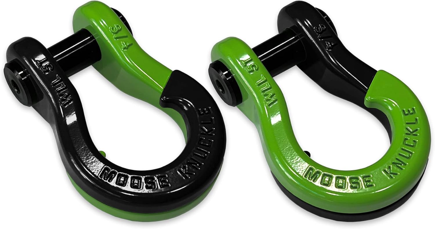 真作】絵画 板倉公明 日本画4号 薔薇 美品 共シール 箱・黄袋入 R44 真