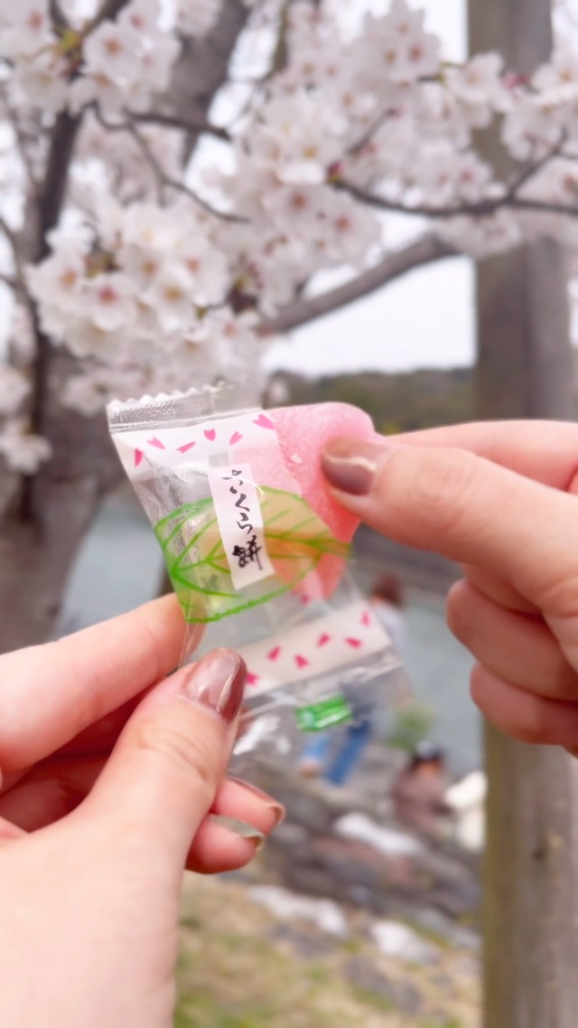 Amazon.com: YAMASAN KYOTO UJI Japanese Sakura Mochi Candies, Real