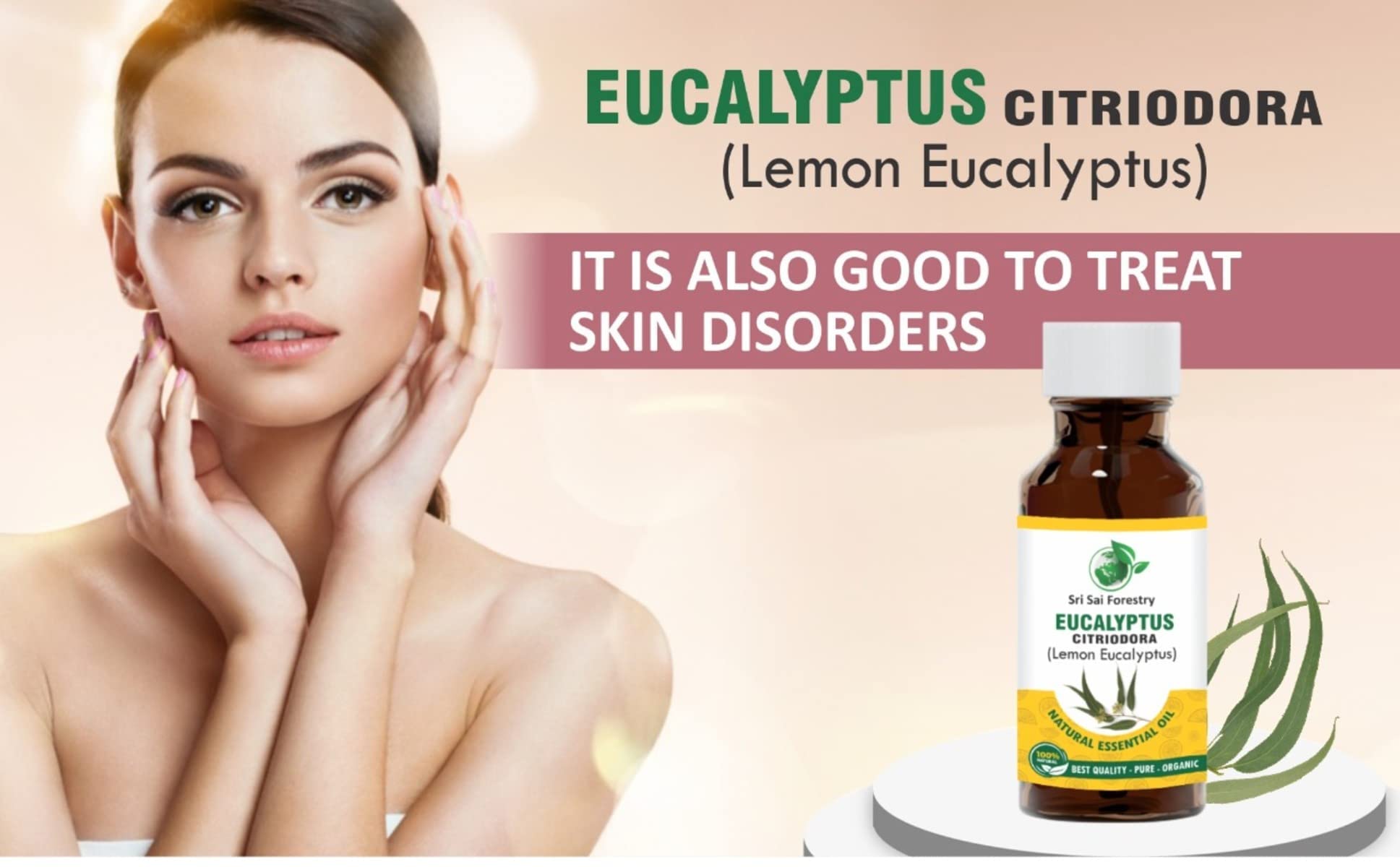 SRI SAI FORESTRY Eucalyptus Citriodora Oil β Lemon Eucalyptus - 100 ML Refreshing Lemon Scent for Aromatherapy 2