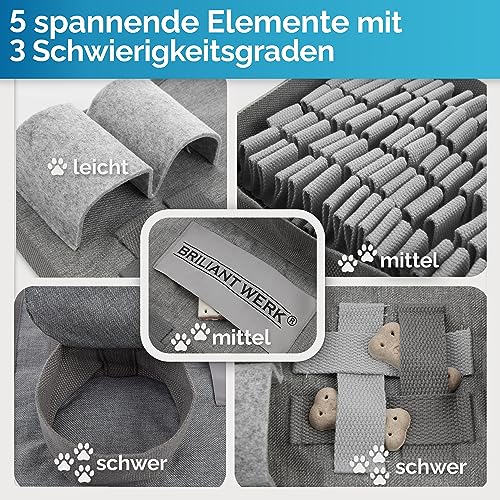 Briliantwerk®️ Schnüffelteppich Hund – Extrem widerstandsfähiges Material - 5 Trainingselemente und 3 Schwierigkeitsstufen – Das Intelligenzspielzeug für Hunde jeder Größe (Grau)