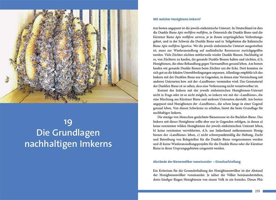 Nachhaltig Imkern mit gesunden Honigbienen: Aus Vergangenheit und Gegenwart für die Zukunft lernen