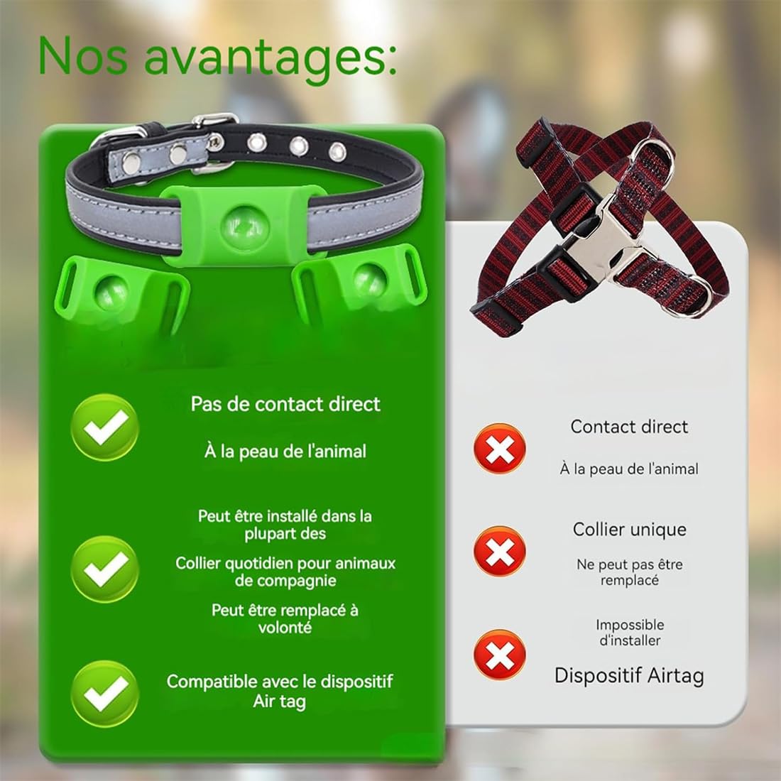 Collier répulsif Anti-puces et tiques pour Animaux, Protection Naturelle 12 Mois pour Chiens, 4 Capsules Remplaçables, Réglable, sans Contact Direct avec la Peau (F)