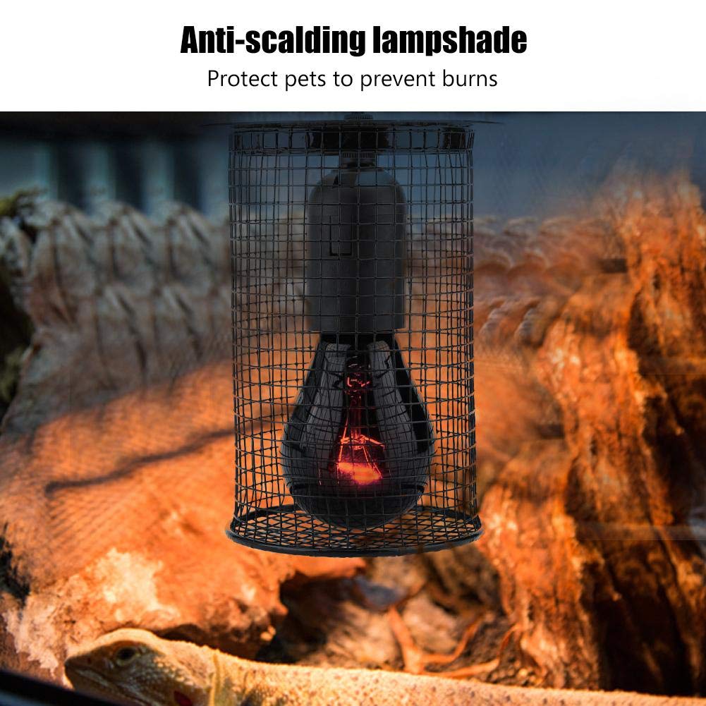 Bescherming voor Terrariumverlichting: Kappen, Armaturen & Lamp Guards