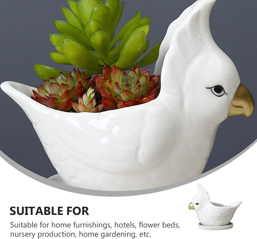 Homoyoyo Parrot Planter Pot Ceramic Flower Pot for Bonsai Mini Parrot Shape Succulent Planter with Saucer for Suculent Cactus Flower Pot Holder Bird Figurine for Desk Decoration White