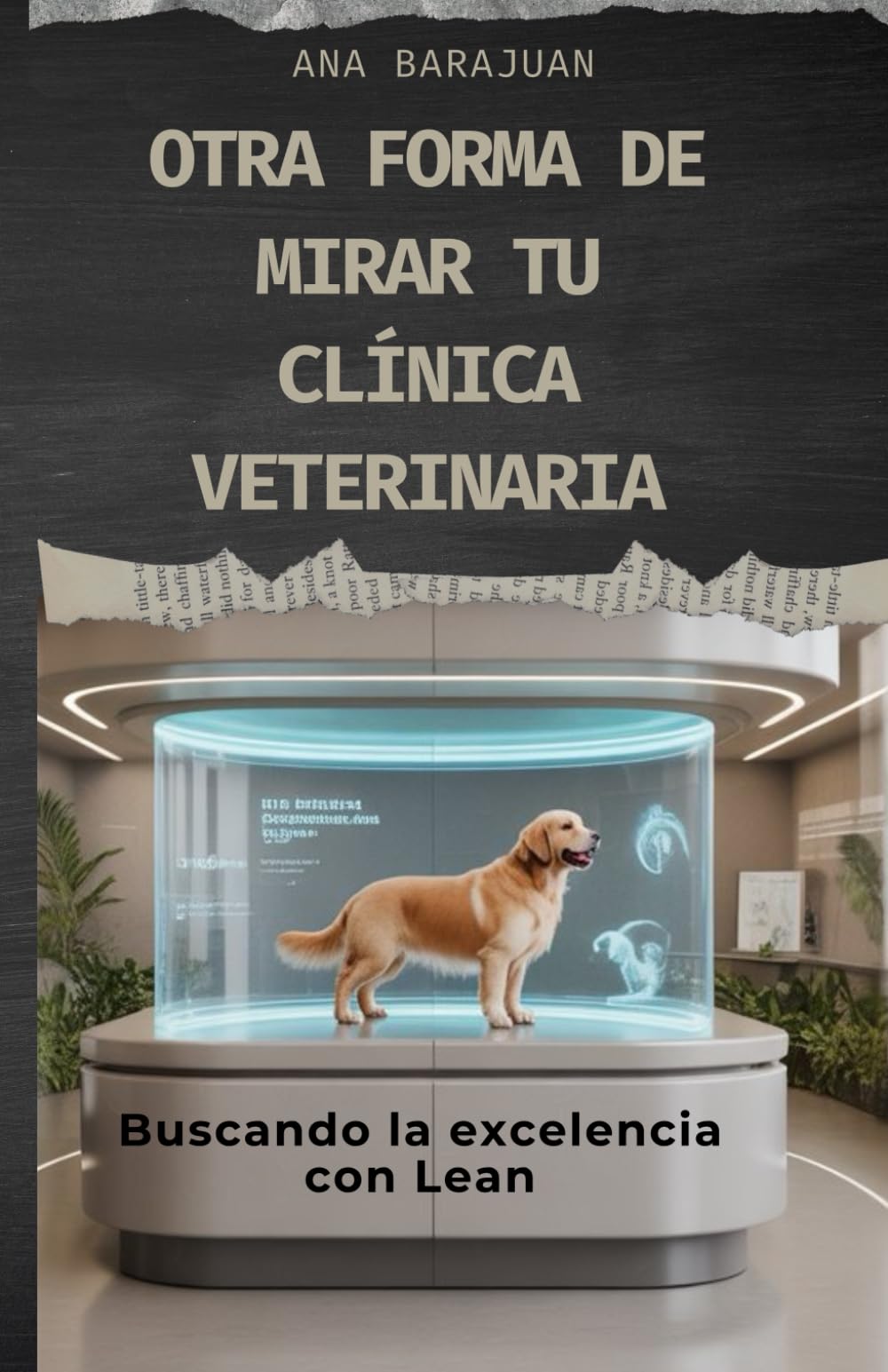 OTRA FORMA DE MIRAR TU CLINICA VETERINARIA: BUSCANDO LA ESCELENCIA CON LEAN (Spanish Edition)