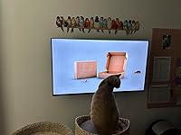 Review Image by Susan A. Spaccarelli