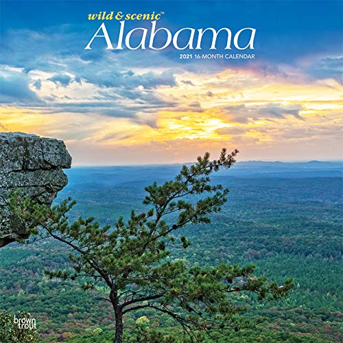 Best Calendars Usa