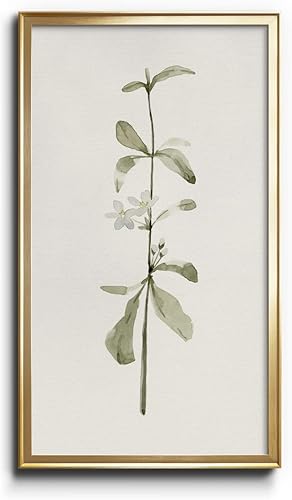 Miniatura 35 de Renditions Gallery Feeling Wild II - Impresiones botánicas modernas para decoración de pared, 16 x 28 pulgadas, marco dorado, arte de pared floral