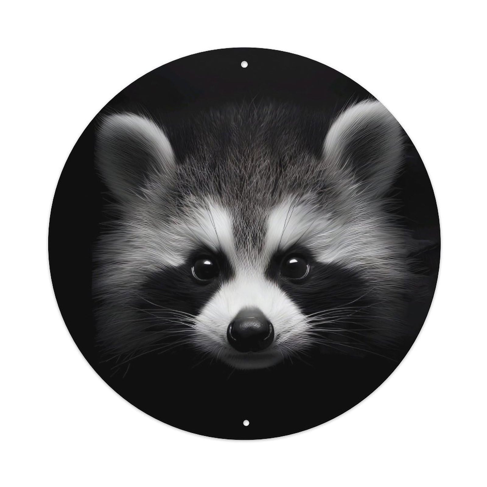 Animal Raccoon Close Up Hyperrealistic Wildlife Photography Vintage Metal Tin Sign Plaque Wall Decor for Cafe, Club Bar, Office, Garden Metal Poster 8x8Inch