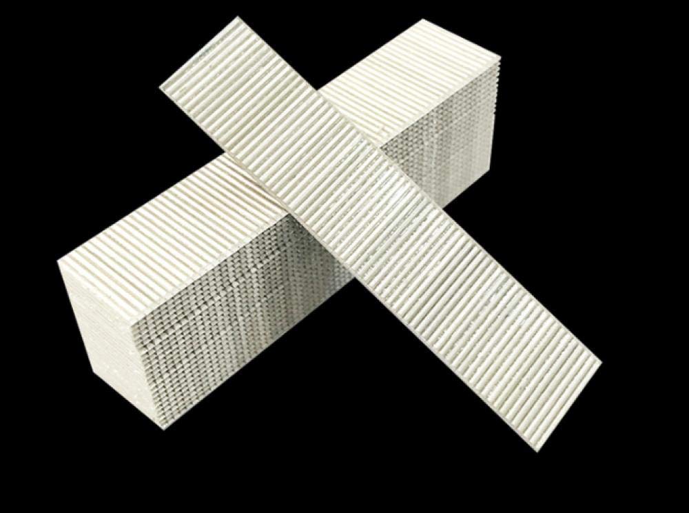 Clavo galvanizado para Pared de hormigón,Clavos d Clavos Finos de Acero Inoxidable, Clavos Estampados, Clavos sin Costura(18mm)