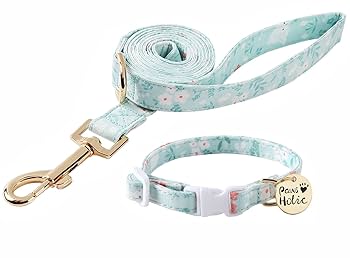 スペイン製 高級犬用リードと首輪セットBaseball Green小型犬 中型犬 スペイン製 高級犬用首輪とリードセットetna Green（小型犬中型犬）