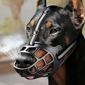 Focinheira de Segurança Respirável para Cães, com Faixa Refletiva, Ajustável, Material TPR e Nylon, Tamanhos: 0, 1, 2, 3, 4, 5, 6 (Número: 2)