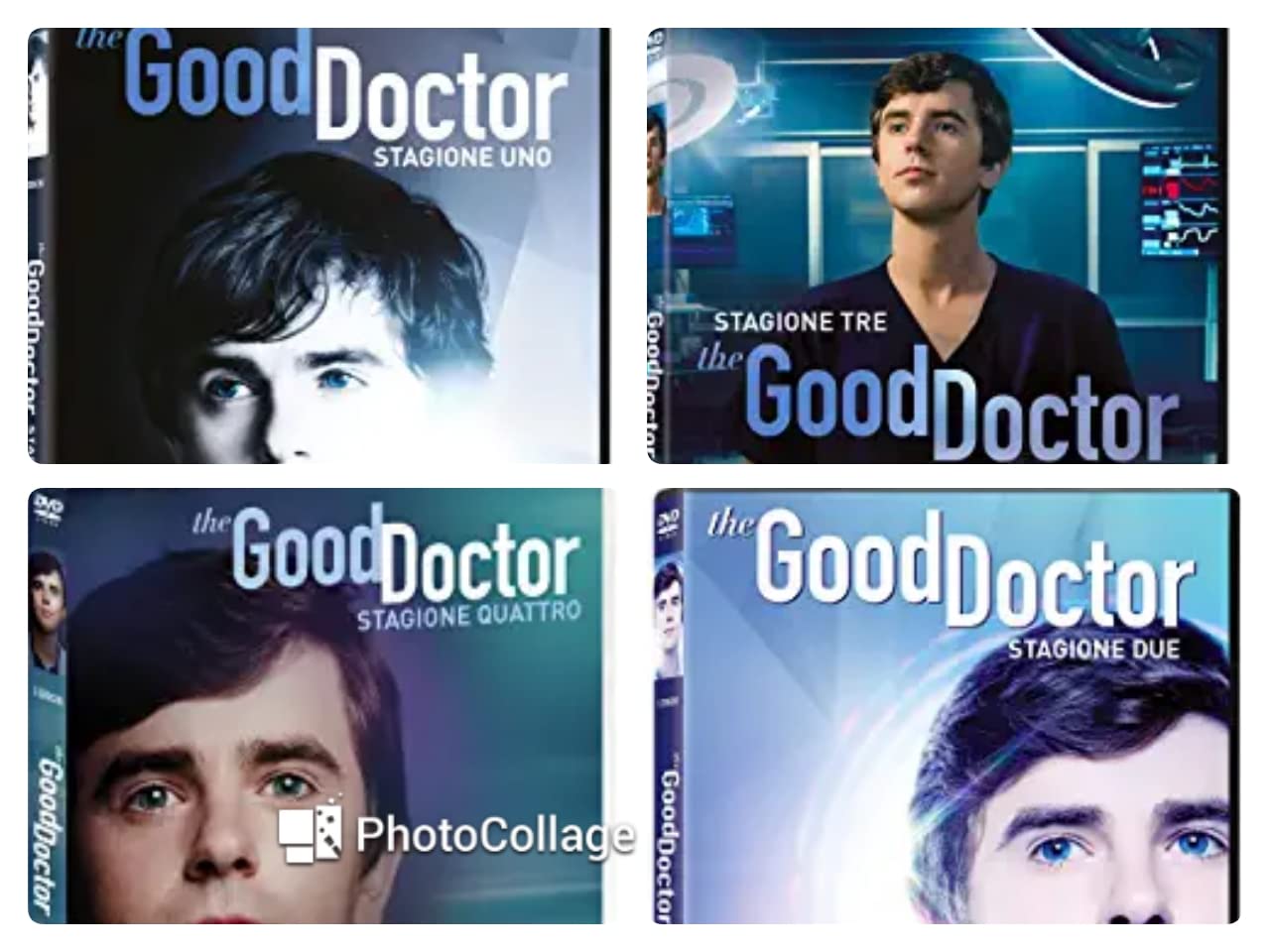 The Good Doctor: Stagioni 1 - 4 (4 cofanetti dvd ) edizione italiana