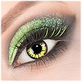 Farbige gelb schwarze 'Yellow Wolf' Kontaktlinsen 1 Paar Crazy Fun Kontaktlinsen mit Behälter zu Fasching Karneval Halloween - Topqualität von 'Giftauge' ohne Stärke