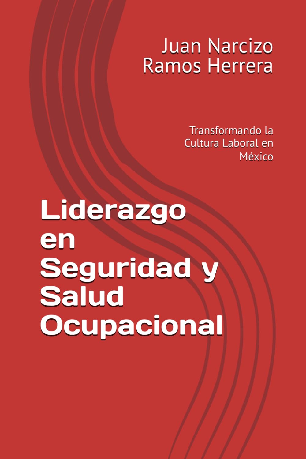 Liderazgo en Seguridad y Salud Ocupacional: Transformando la Cultura Laboral en México