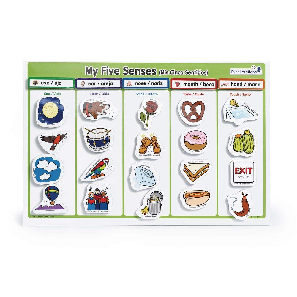 Excellerations My 5 Senses Magnetic Activity Set, 12 x 18 inches, Pack of 55, Educational STEM Toy, Preschool, Kids Toys