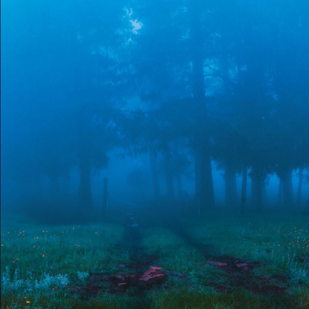 Commune [12" VINYL]
