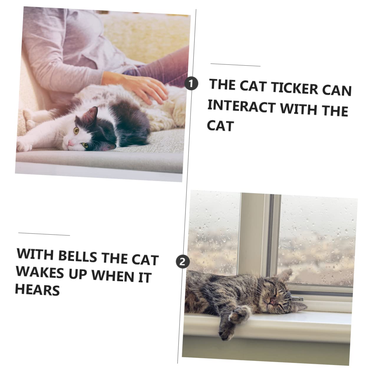 Kisangel 15pièces Jouet Peluche pour Chat Décorative avec Plumes Amusantes Accessoire Interactif pour Instinct De Chasse des Chats