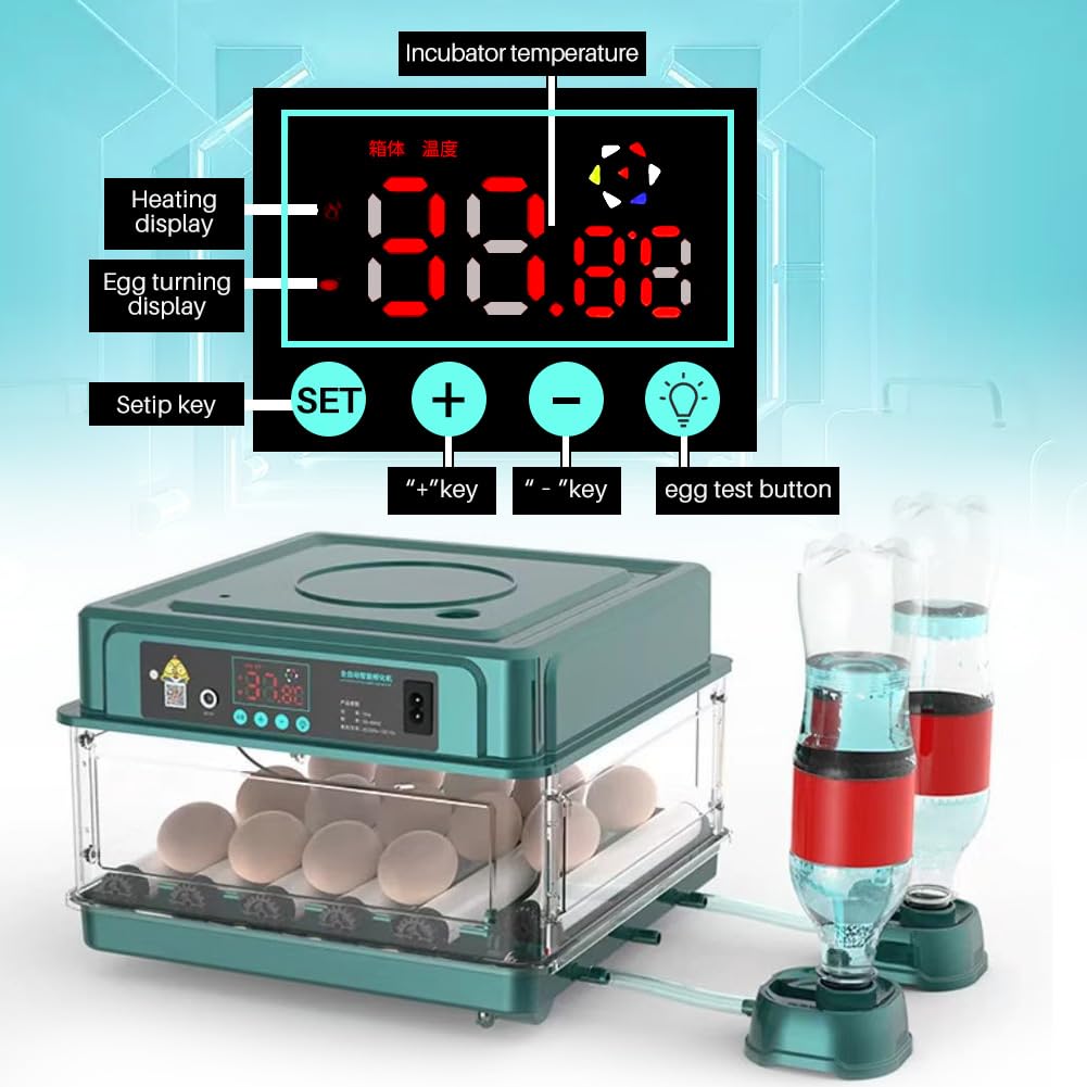 Amazon.com : Automatic Egg Incubator 12-38 Egg Digital Poultry