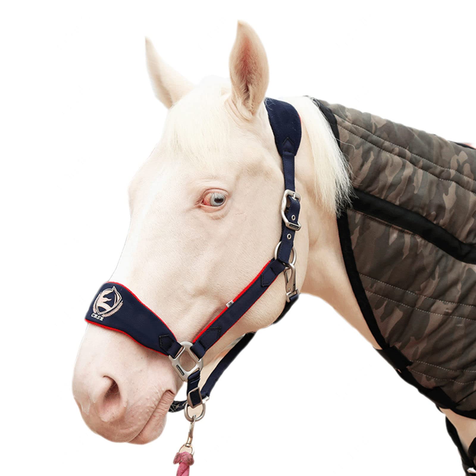 Amazon.co.jp: 乗馬用品 研削防止の馬の手綱、主要な馬の手綱の馬術