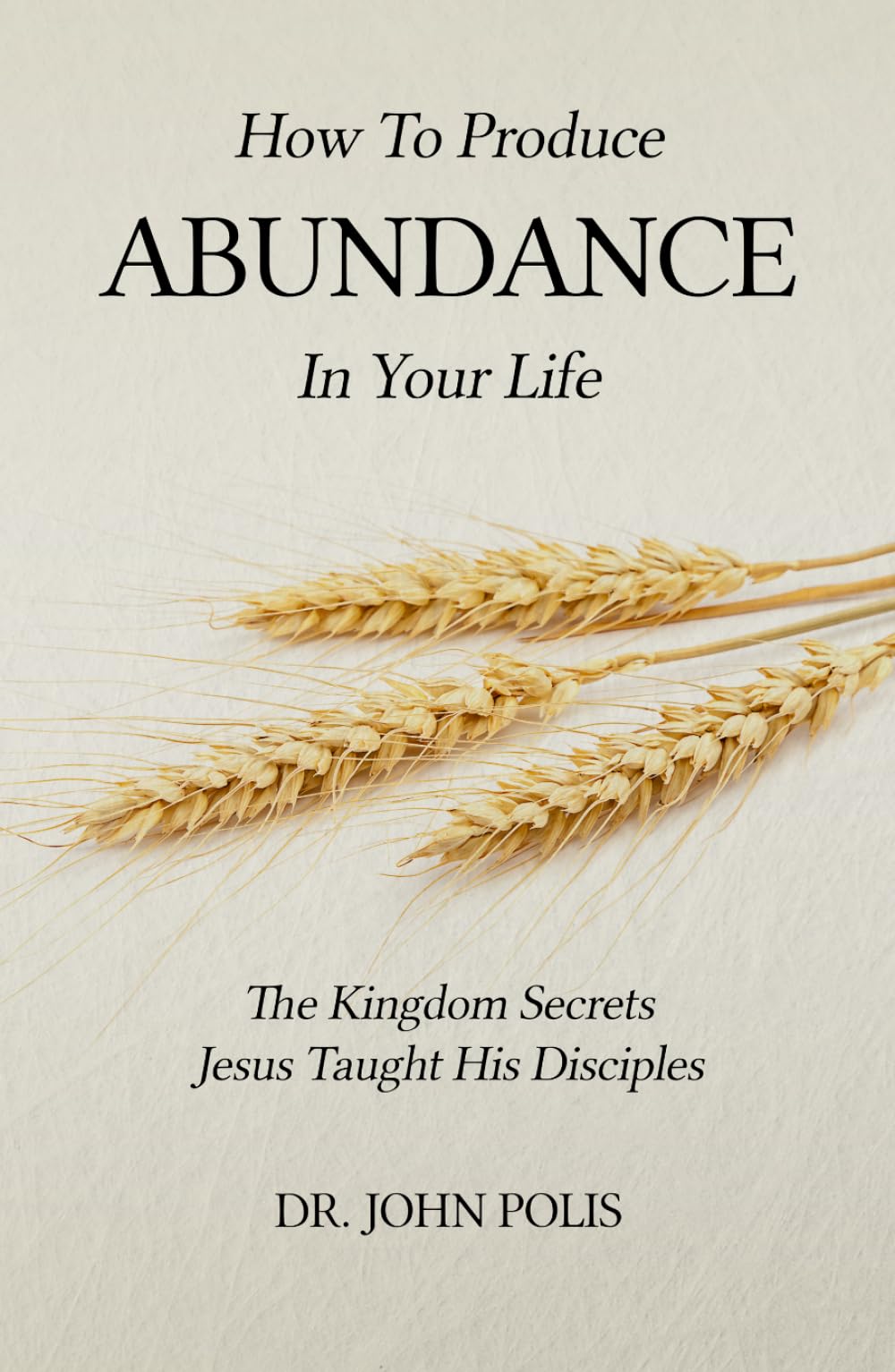 How To Produce Abundance In Your Life: The Kingdom Secrets Jesus Taught His Disciples