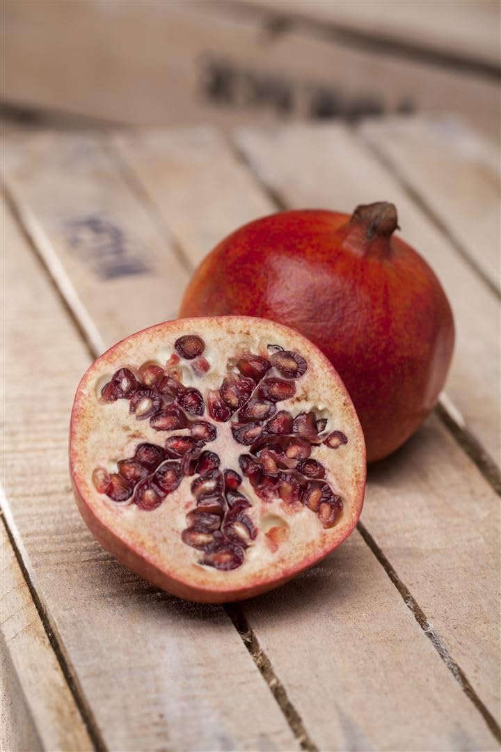 Punica granatum 'Mollar' 80-100 cm - Granatapfel, rote Früchte, Erntezeit September-November, ideal für Kübel, winterhart, pflegeleicht