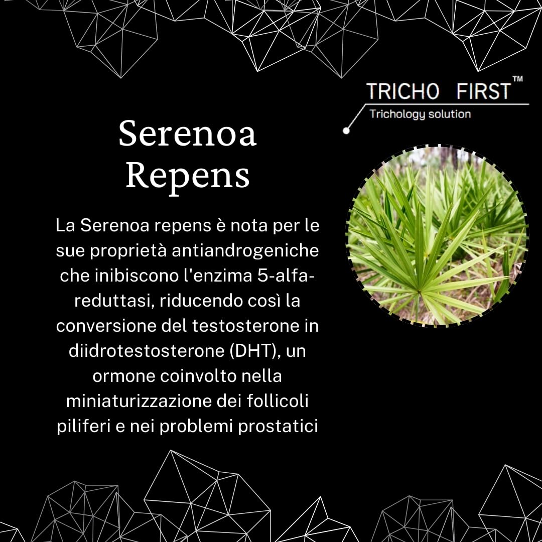 Serenoa Repens Massima Dose 320 mg TRICHO FIRST- 90-95%, Integratore contro l'Ingrossamento della Prostata e la Caduta dei Capelli, a Base di Serenoa Repens - Formato da 60 Perle - Andi DHT