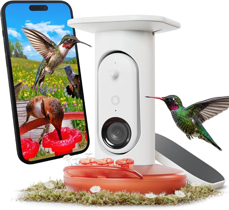 Birdbuddy Solar Hummingbird Feeder with Camera, AI Bird ID, 2K Video, Photo | 2K video quality, 5MP Photos, 1/2.7” sensor with excellent low-light performance, High Dynamic Range (HDR)