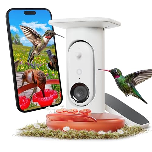 Birdbuddy Solar Hummingbird Feeder with Camera, AI Bird ID, 2K