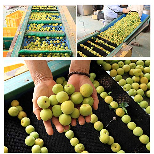 Buying Guide Vh Plum Sauce, 740 ml, 1 Count