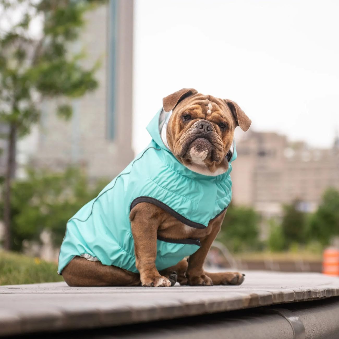 GF Pet Reversible Raincoat - Regenjacke- wasserdichte Hundebekleidung- Größe M Hundemantel Rückenlänge 38cm- Neongelb mit Krawattenfärbung