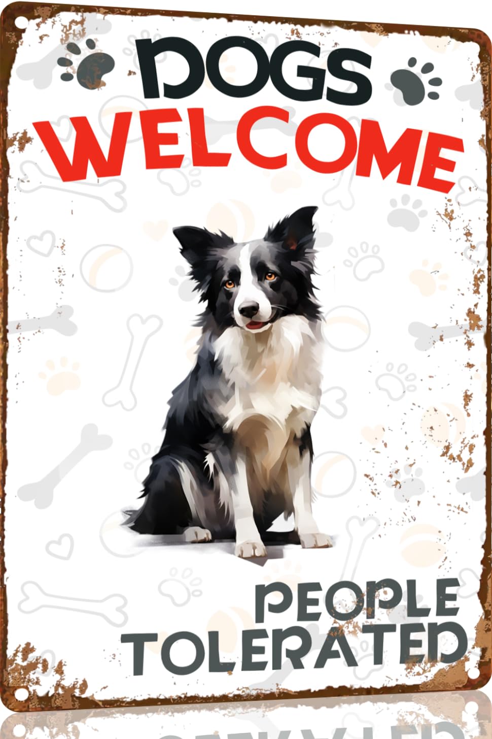 Panneau Métal Vintage 'Accès Interdit Chien' - Border Collie - Décoration - NEUF