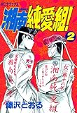 湘南純愛組！（２） (週刊少年マガジンコミックス)