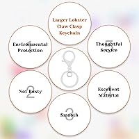 Vista 17 de 30Pcs Lobster Claw Clasps Keychain for Jewelry Making,Metal Lobster Clasp Swivel Trigger Clips with Jump Rings Flat Split Keychain Ring for DIY