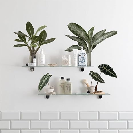 Amazon 壁紙屋本舗 ウォールステッカー 植物 ボタニカル ステッカー Cセット Sサイズ アデニウム アロカシア アグラオネマ 3種セット 観葉植物 防水 剥がせる シール式 転写式 Pvc 壁飾り インテリア 壁紙 Amazon 壁紙屋本舗 ウォールステッカー 植物 ボタニカル ステッカー Cセット Sサイズ アデニウム アロカシア アグラオネマ 3種セット 観葉植物 防水 剥がせる シール式 転写式 Pvc 壁飾り インテリア 壁紙