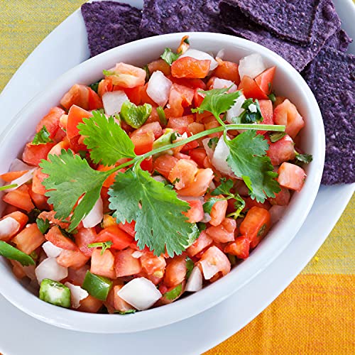 Bonnie Plants Cilantro Live Herb Plants - 4 Pack, Cool Season Annual, Leaves & Seeds In Mexican, Caribbean or Asian Dishes