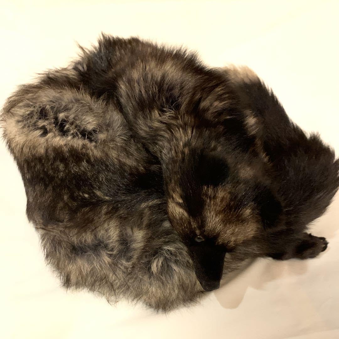 キツネ 襟巻き 2着セット 超特大！最高級☆毛皮 ブルーフォックス きつねの