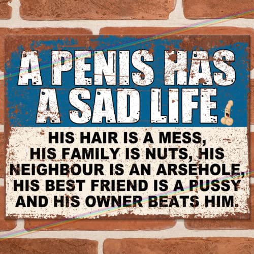 Funny "Sad Life" Rude Metal Bar Sign, Multicolor, 20 x 15 cm