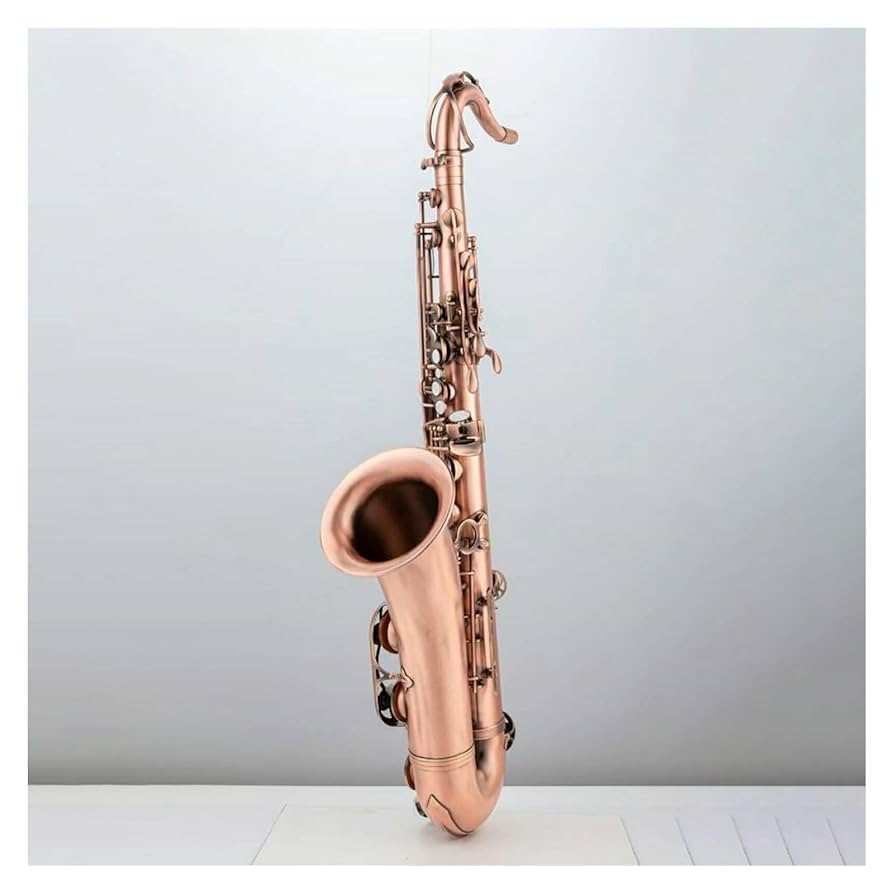 Amazon | テナーサックス赤アンティーク銅表面サックス楽器