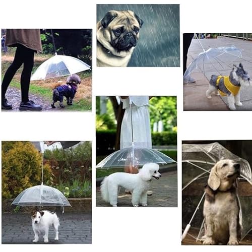 Guarda Chuva animal Pet Cachorros e Gatos