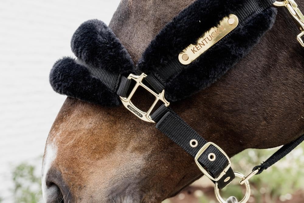 Kentucky - Halfter COB - Schwarz - Vegane Wolle