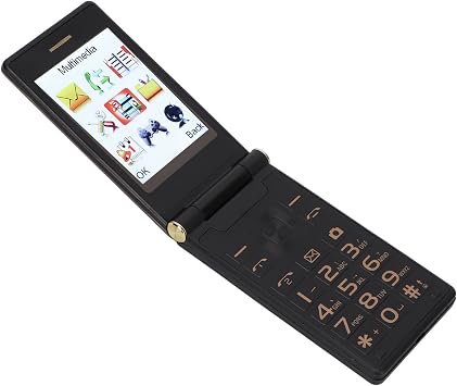 2G Large Screen, Dual SIM, Dual Standby Cell Phone, Big Button, Senior Mobile Phone with Charging Cable, Stylish Elderly Mobile Phone, One Touch Dial, Loud
