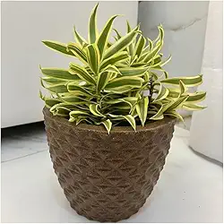 VASO POLIETILENO CONE BERLIAN GOLD 3D DECORATIVO P/PLANTAS/JARDINS/ESCRITÓRIOS LUXO (MARROM)