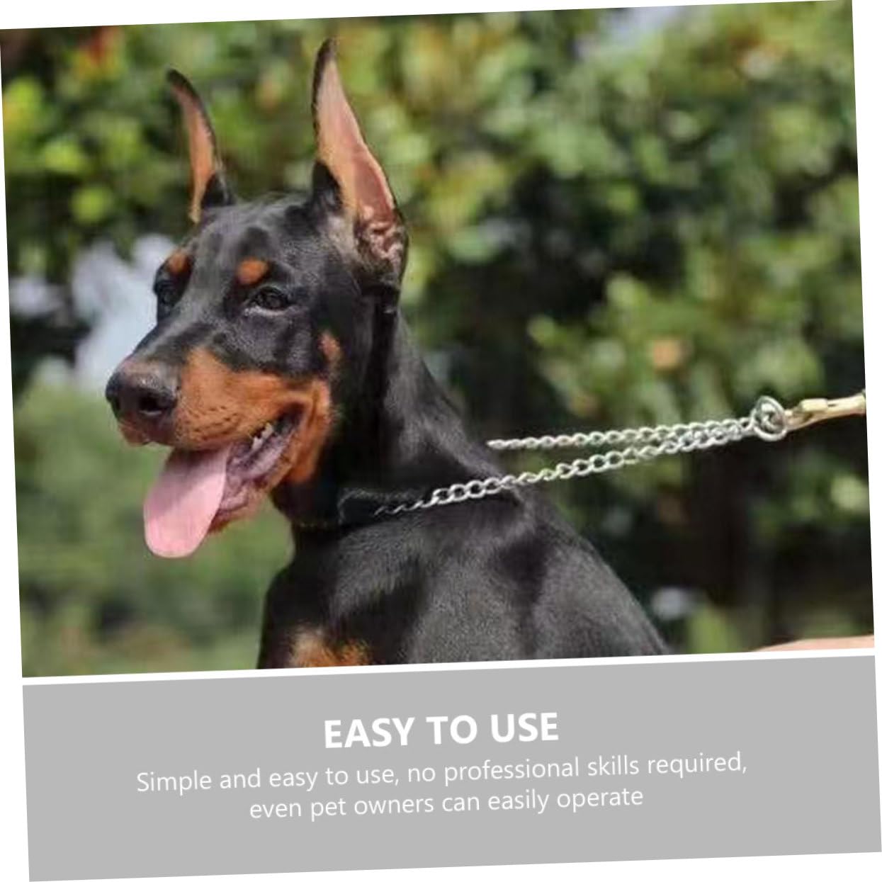 5 Pares en la Oreja Pegatina de pie con Oreja de Perro publicación de Oreja de Cachorro Soporte para Orejas de Perro Reutilizable Accesorio para Orejas de Perro stmnt Perros