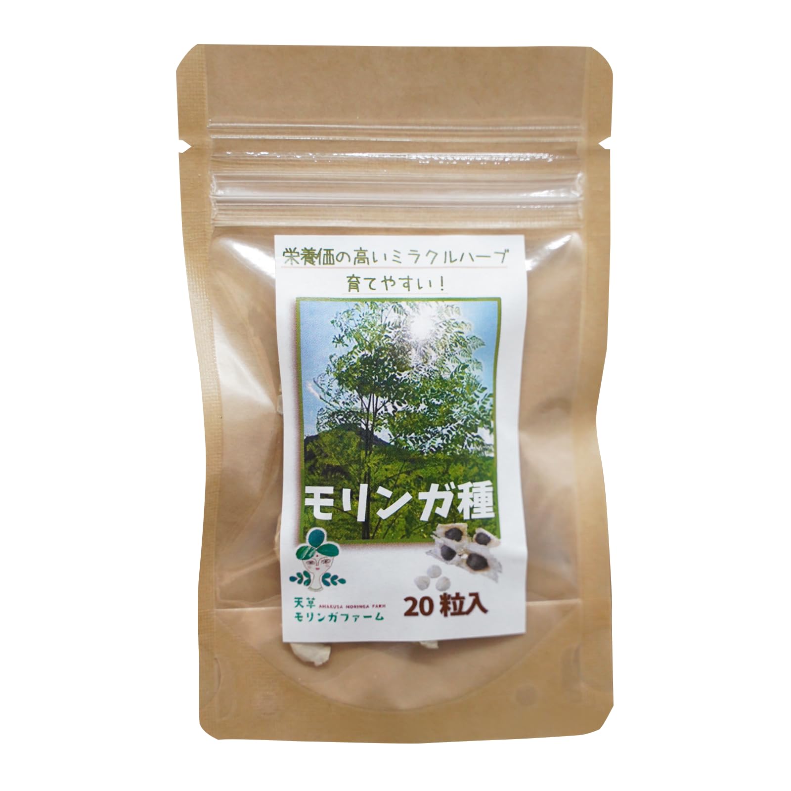 Amazon.co.jp: 【発芽率6~8割】天草モリンガファーム モリンガの種 Amazon.co.jp: 【発芽率6~8割】天草モリンガファーム モリンガの種