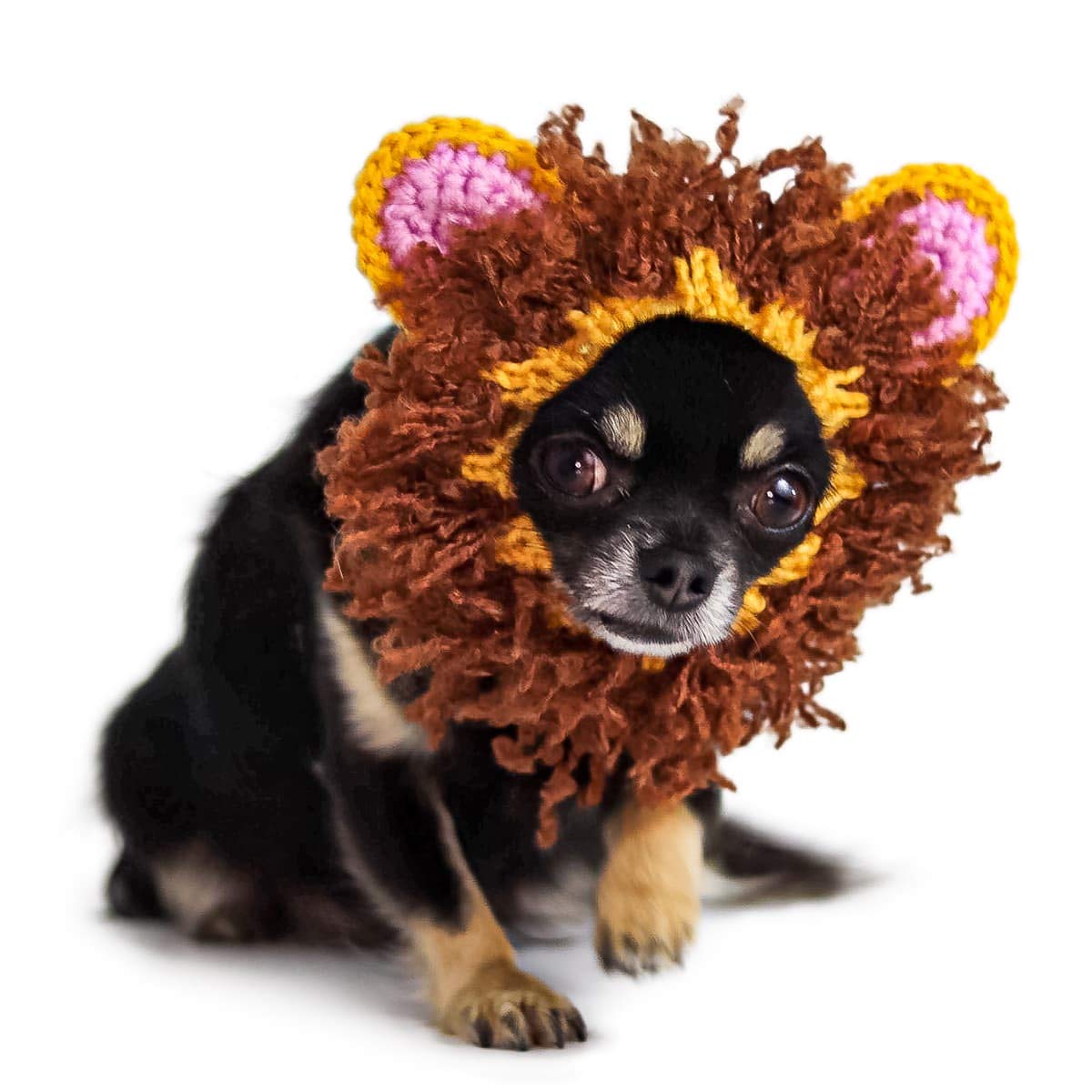 Zoo SnoodsZoo Snoods Lion Dog Costume - Neck and Ear Warmer Hood for Pets (Small)