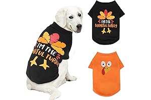 2 Pack Thanksgiving Dog Shirt - A Thanksgiving Delight for Your Furry Friend