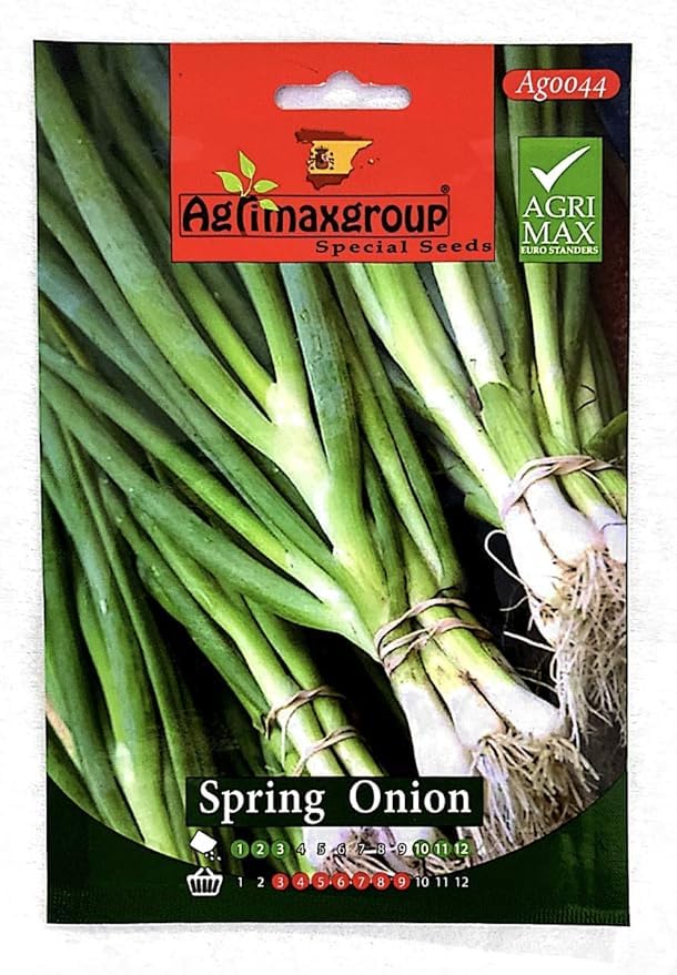 Vegetable Seeds for Planting - Organic Premium Quality - Seeds Hybrid Organic Non GMO Vegetable Seedss for Home and Garden Potted Plants Easy to Plant/PLANT PLACE (Spring Onion)