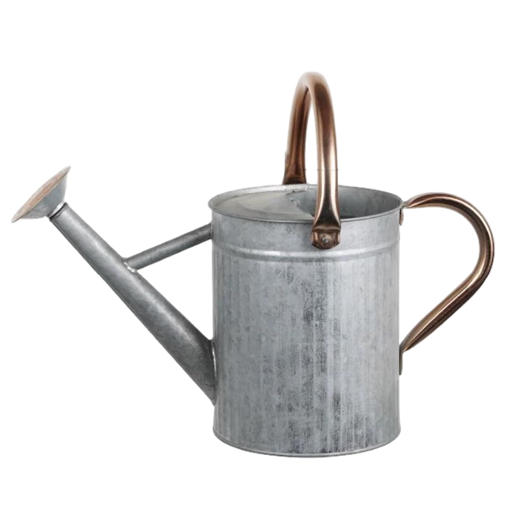 Edelstahl-Gießkanne – 1, 3 Gallonen/5 l große Metallkanne mit abnehmbarem Auslauf und 2 Griffen